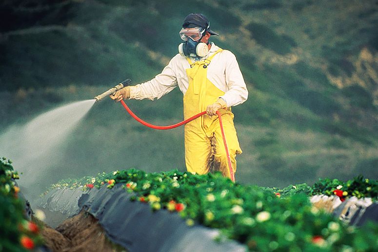 pesticides